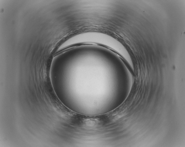 X0000088620508200706081525