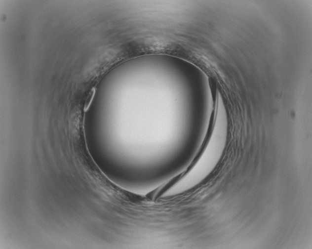 X0000088620509200706081525