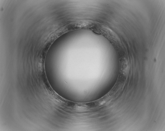 X0000088620510200706081525