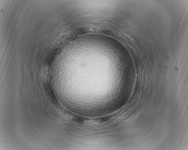 X0000088620511200706081525