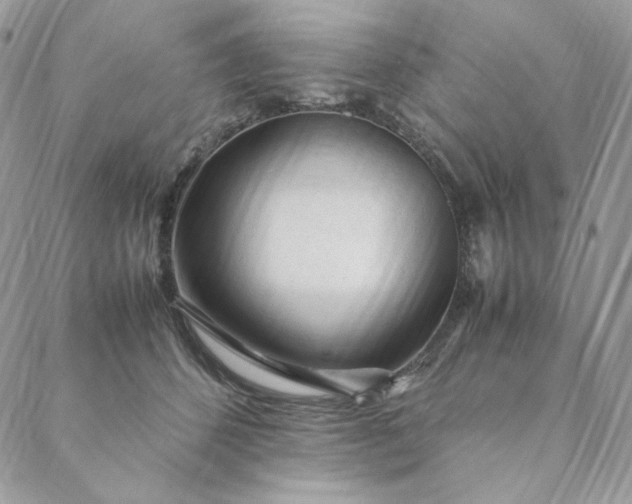 X0000088620512200706081525