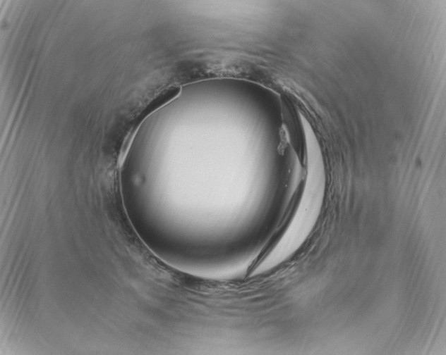 X0000088620513200706081525