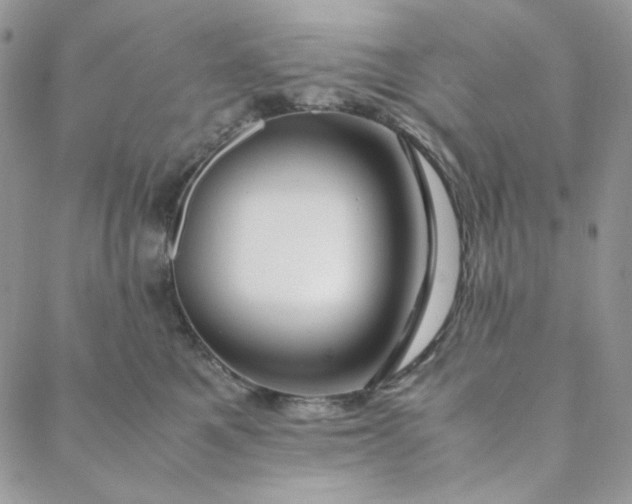 X0000088620521200706081525