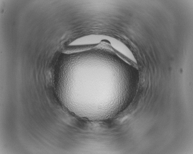 X0000088620523200706081525