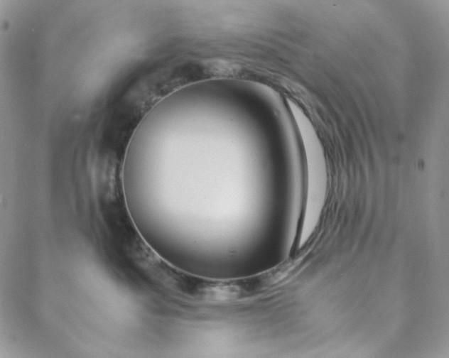 X0000088620525200706081525