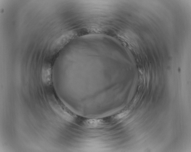 X0000088620526200706081525