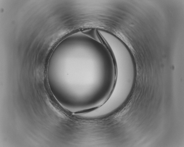 X0000088620530200706081524