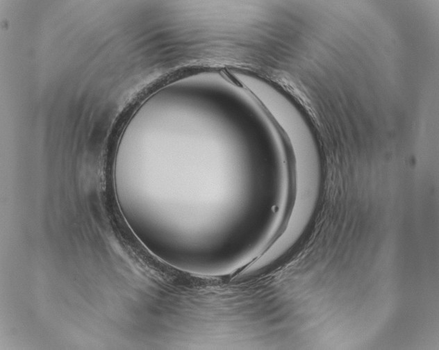 X0000088620536200706081524
