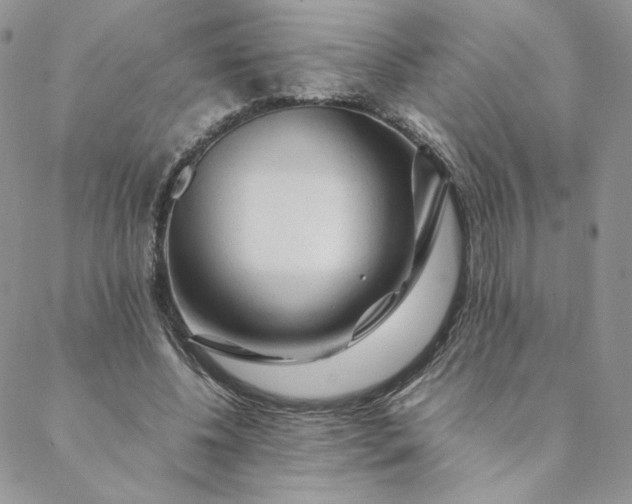 X0000088620540200706081524