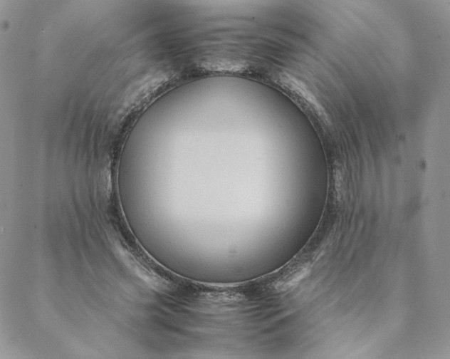 X0000088620541200706081524