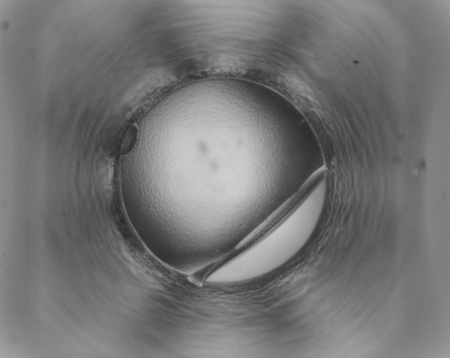 X0000088620550200706081524