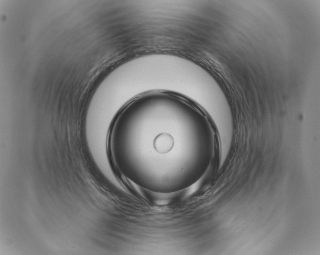 X0000088620552200706081524