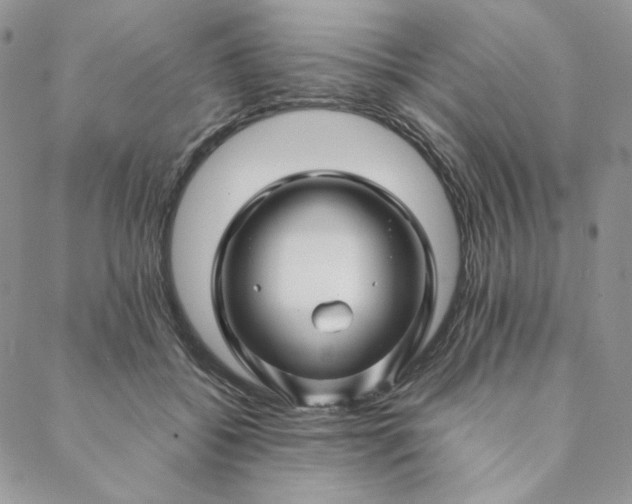 X0000088620556200706081524