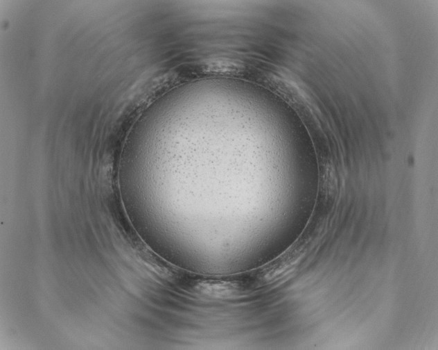 X0000088620557200706081524