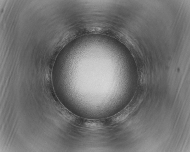 X0000088620561200706081524