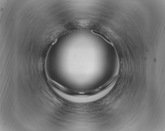 X0000088620562200706081525