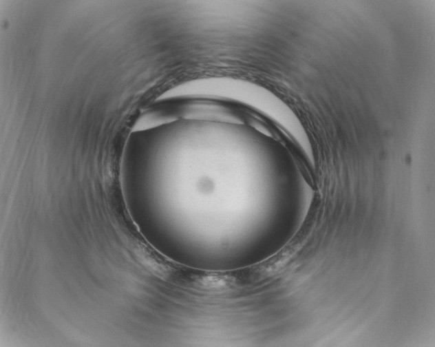 X0000088620566200706081525