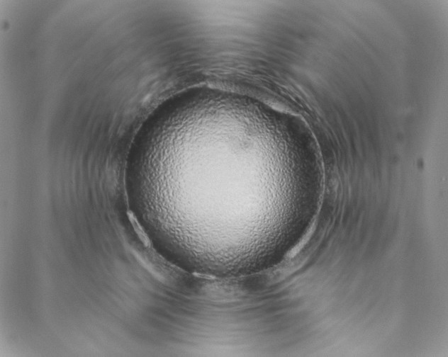 X0000088620568200706081525