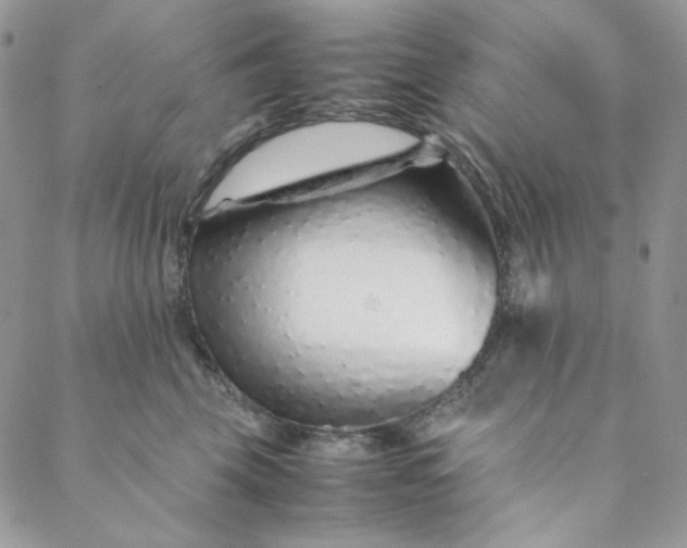 X0000088620569200706081525