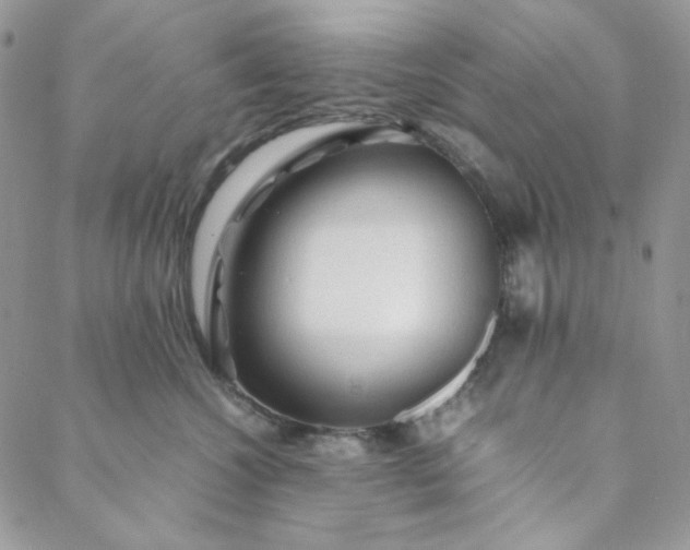 X0000088620572200706081525