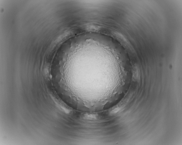 X0000088620573200706081525