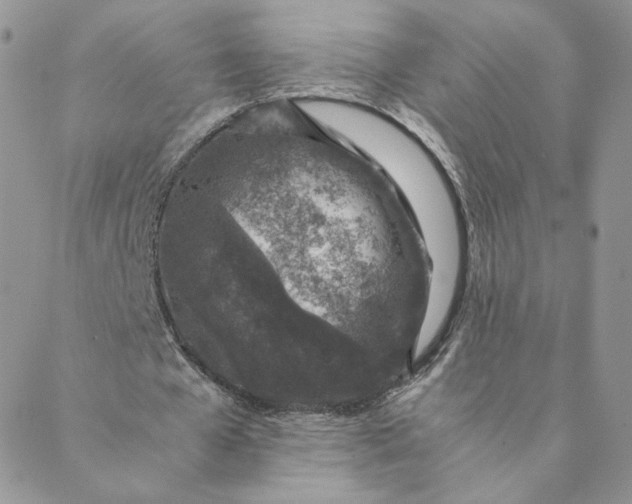 X0000088620577200706081524