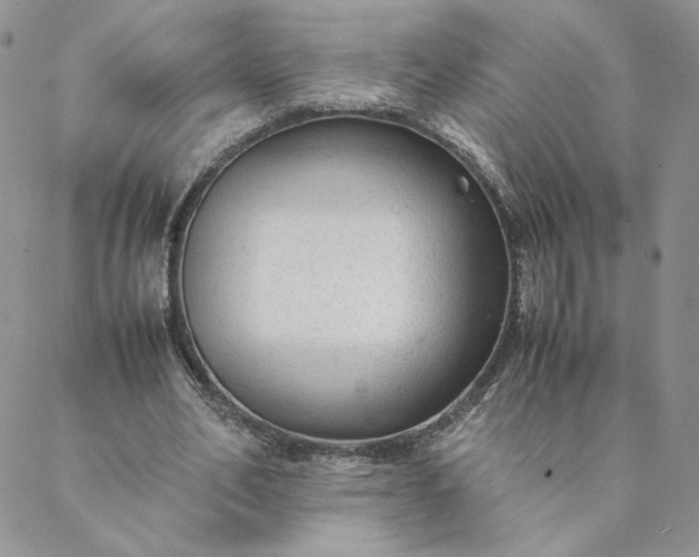 X0000088620582200706081524