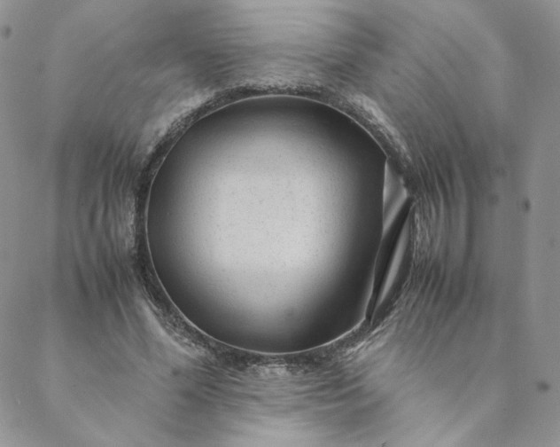 X0000088620588200706081524