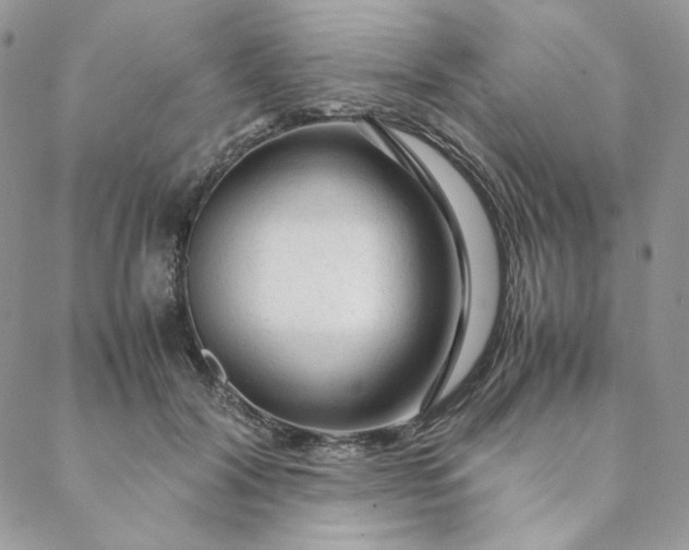 X0000088620604200706081524