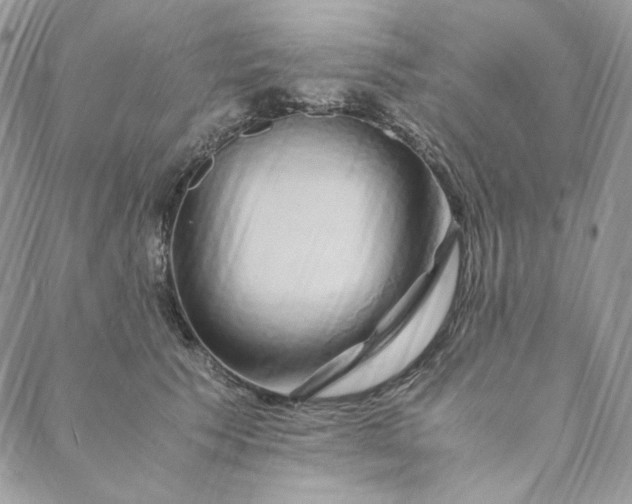 X0000088620609200706081523