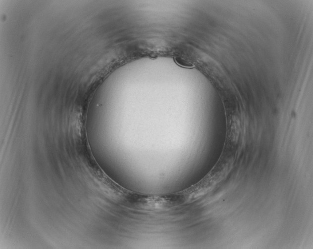 X0000088620612200706081523