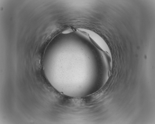 X0000088620615200706081523