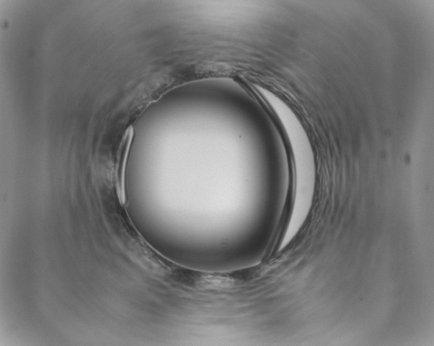 X0000088620617200706081523