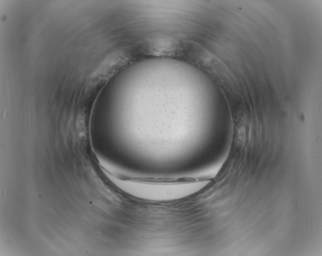 X0000088620620200706081523