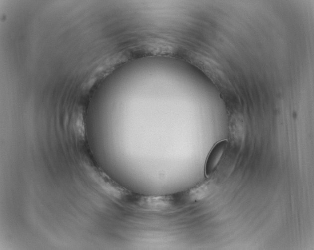X0000088620622200706081523