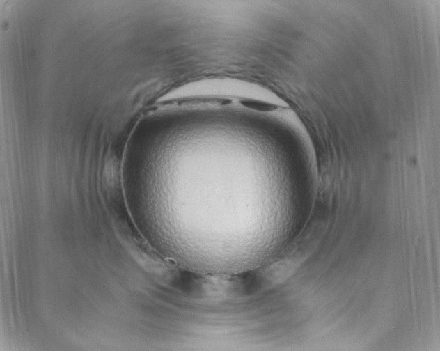 X0000088620623200706081523
