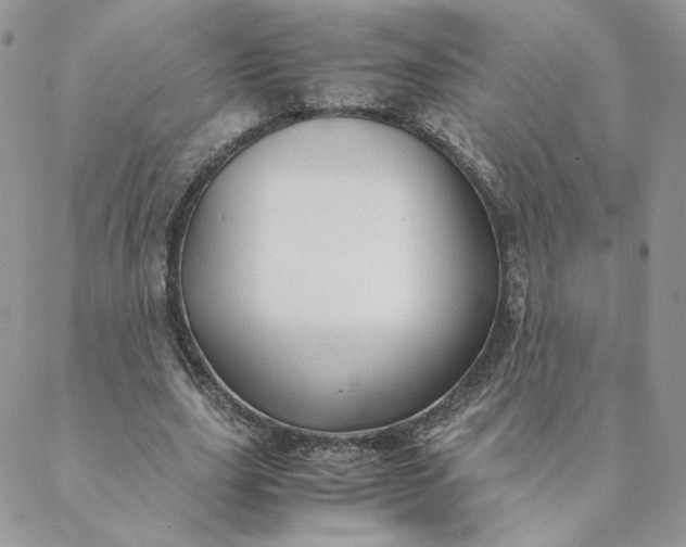 X0000088620631200706081523