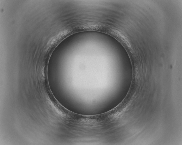 X0000088620633200706081523