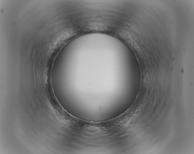 X0000088620635200706081523