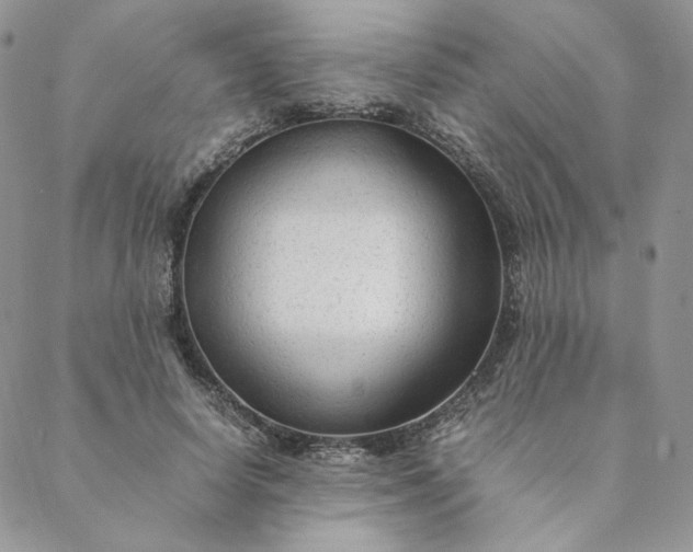 X0000088620642200706081523