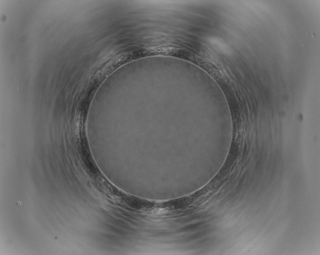 X0000088620647200706081523