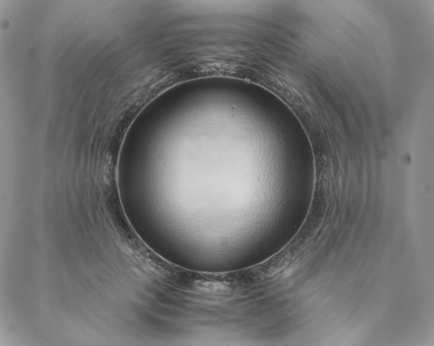 X0000088620649200706081523