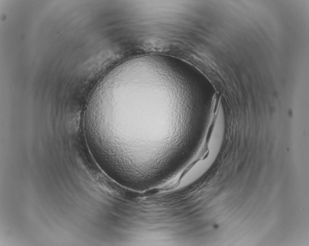X0000088620652200706081523