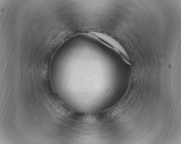 X0000088620656200706081523