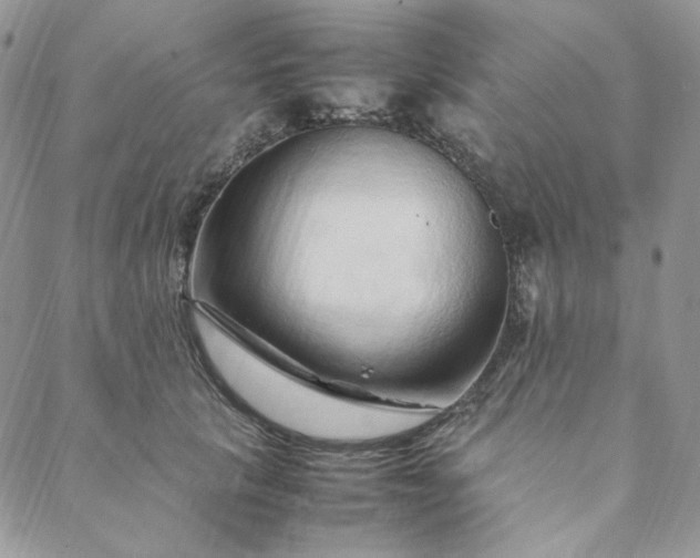 X0000088620657200706081523