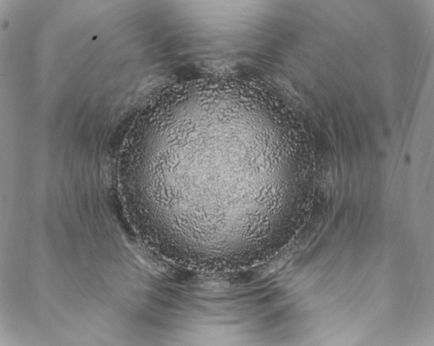 X0000088620658200706081523