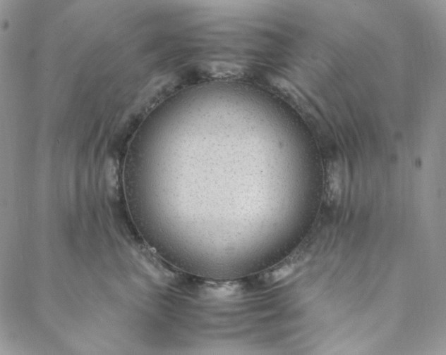 X0000088620667200706081523