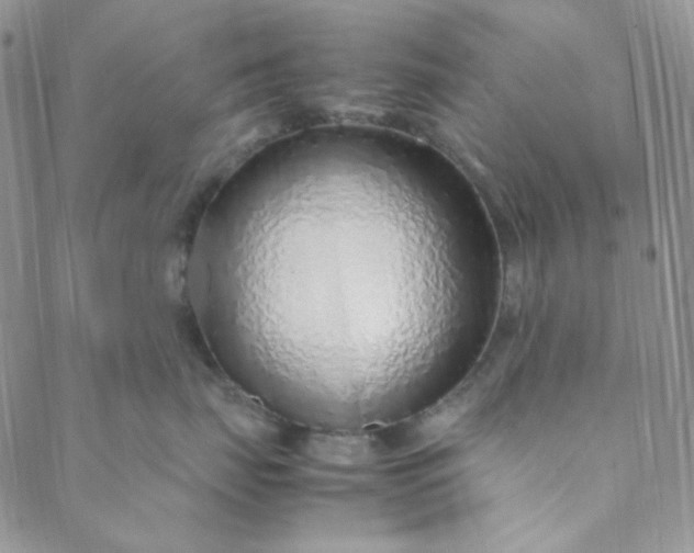X0000088620671200706081523