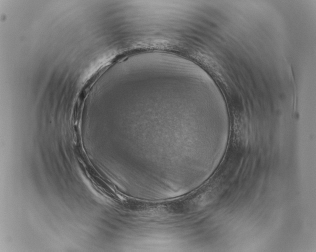 X0000088620674200706081522