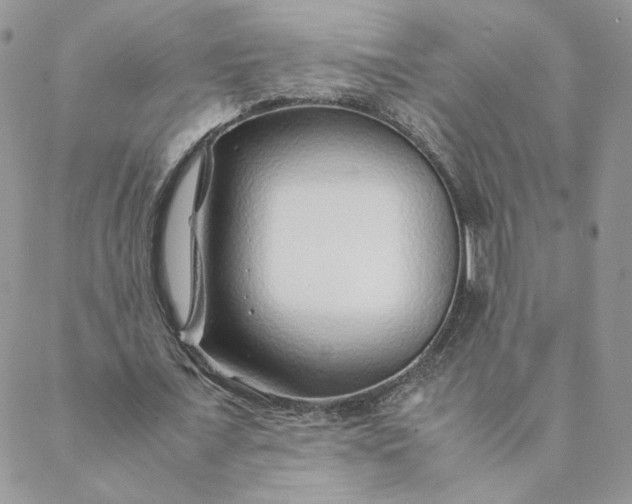X0000088620675200706081522
